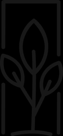 ZOYA Botanicals